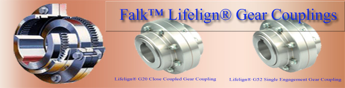 Falk™ Lifelign Gear Couplings